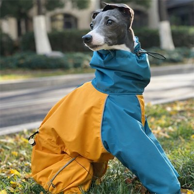 Imperméable pour chien​ 