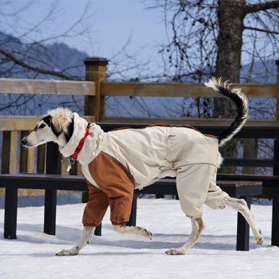 Imperméable pour chien​ 