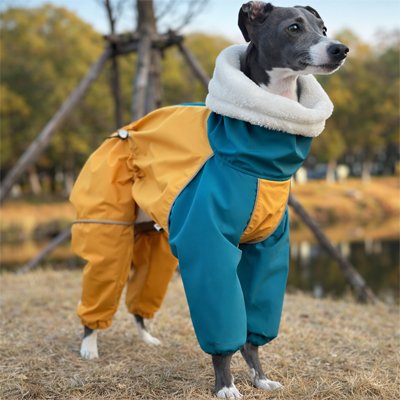 Imperméable pour chien​ 