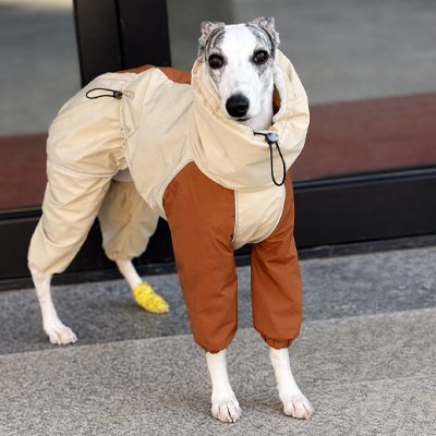 Imperméable pour chien​ 