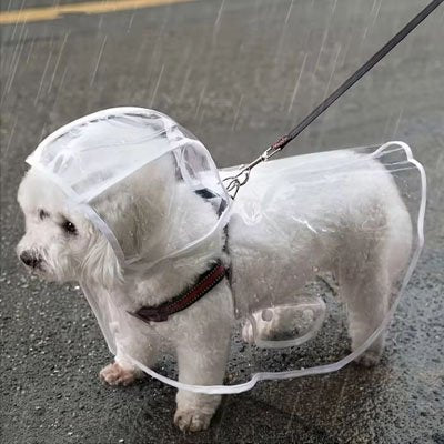 Imperméable pour chien​