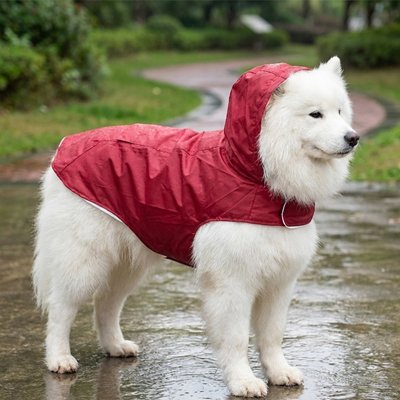 Imperméable pour chien​ 