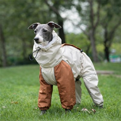 Imperméable pour chien​ 