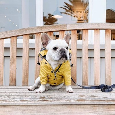 Imperméable pour chien​