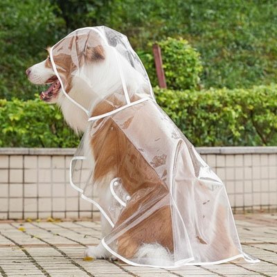 Imperméable pour chien​