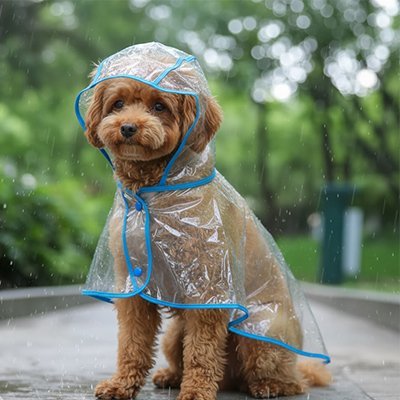 Imperméable pour chien​