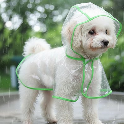 Imperméable pour chien​