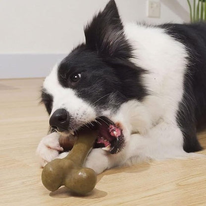 Jouet chien indestructible