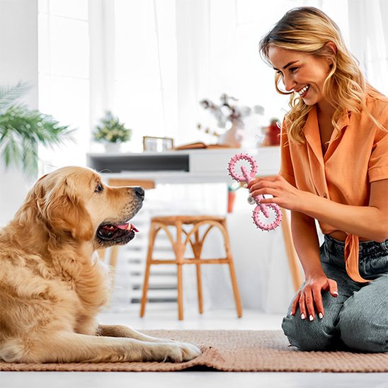 jouet chien indestructible