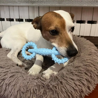 jouet chien indestructible