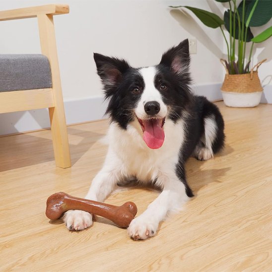 Jouet chien indestructible