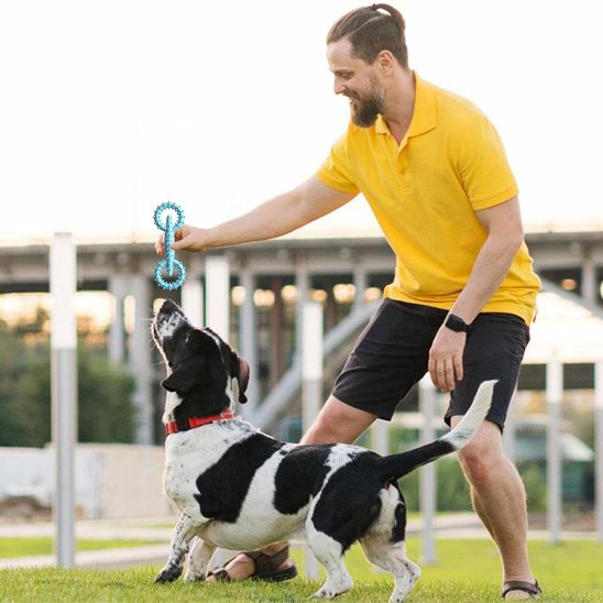 jouet chien indestructible