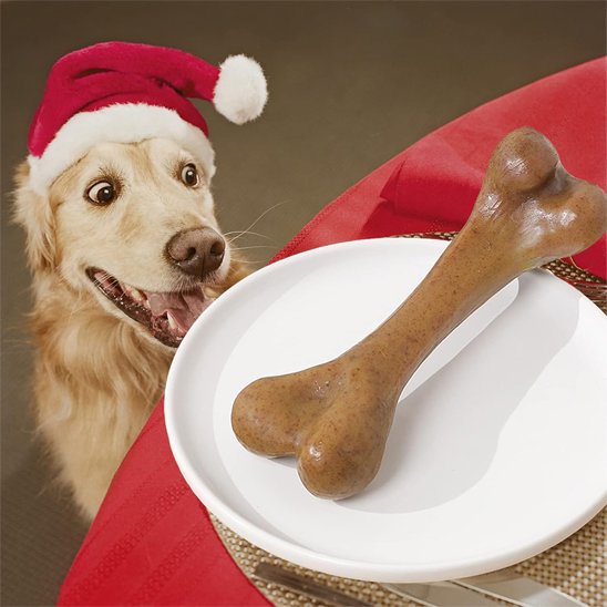 Jouet chien indestructible