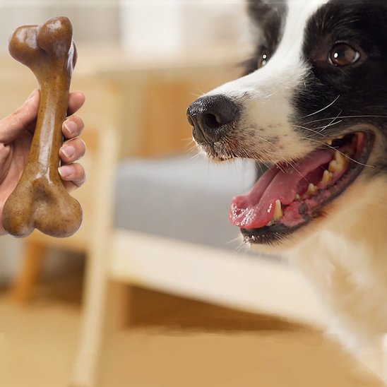 Jouet chien indestructible