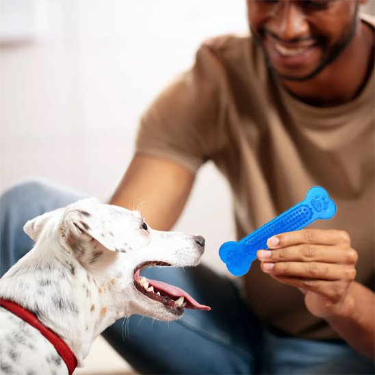 jouet chien indestructible