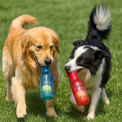 Jouet Chien