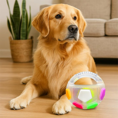 Jouet chien