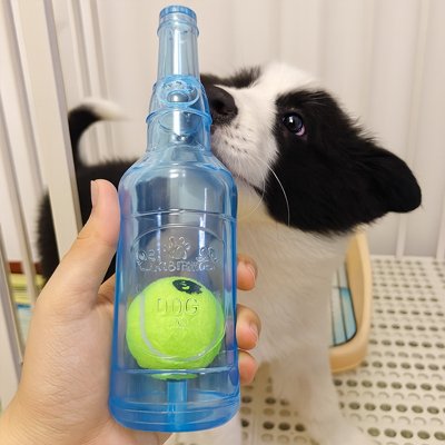 Jouet Chien