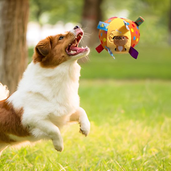 Jouet chien