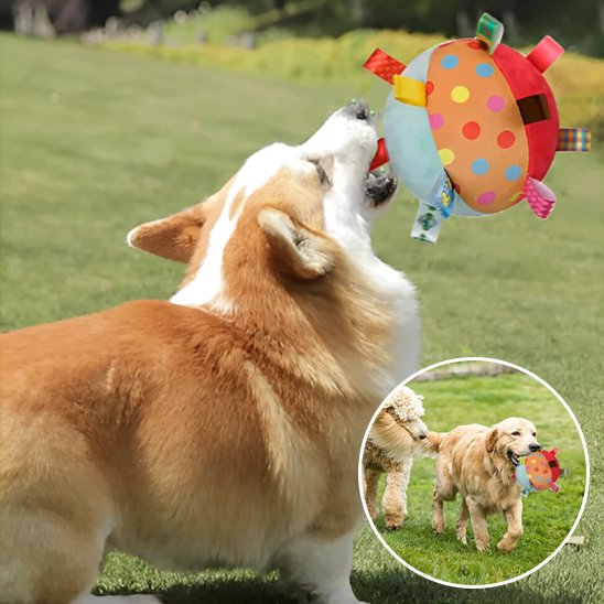 Jouet chien