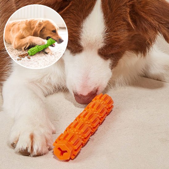 Jouet chien