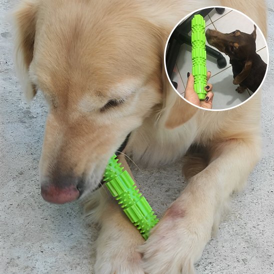 Jouet chien