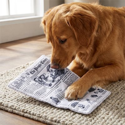 Jouet chien