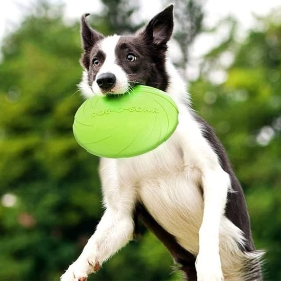 Jouet chien