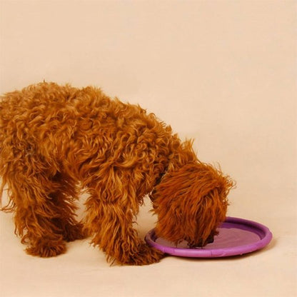 Jouet chien