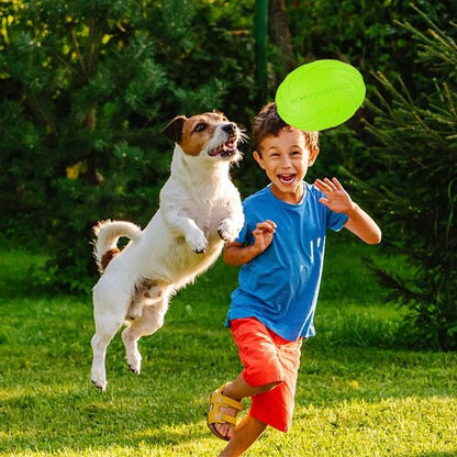 Jouet chien