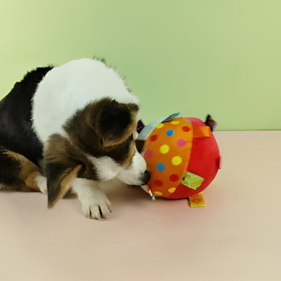 Jouet chien