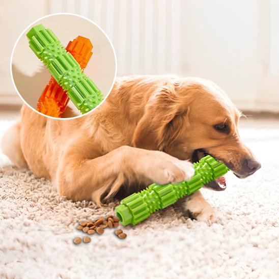 Jouet chien