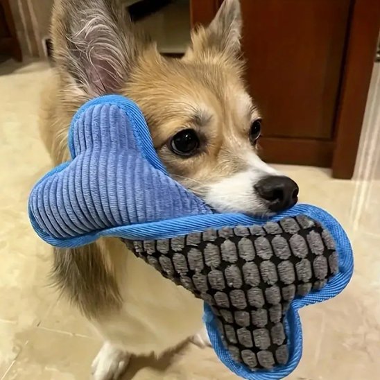 Jouet chien