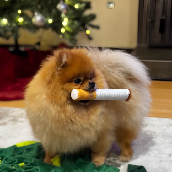 Jouet chien