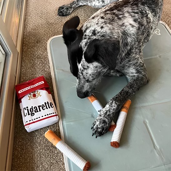 Jouet chien