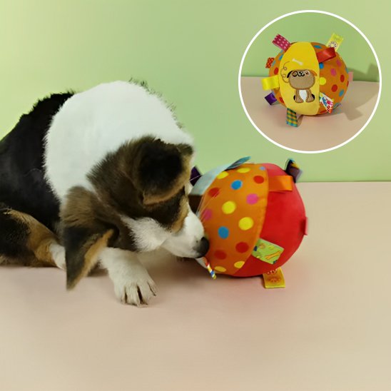 Jouet chien