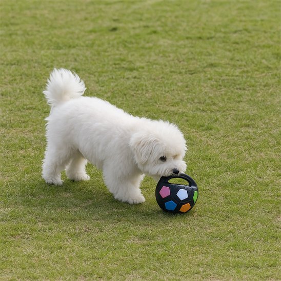 Jouet chien