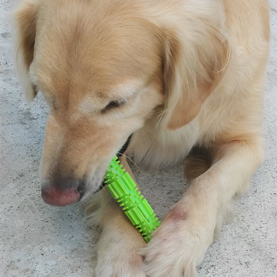 Jouet chien