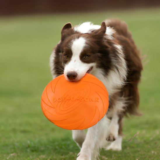 Jouet chien