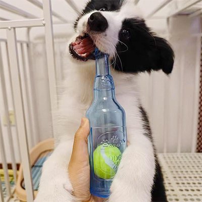 Jouet Chien