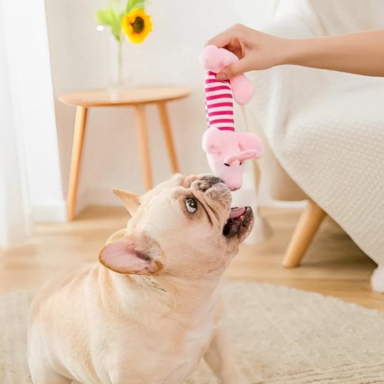 Jouet chien