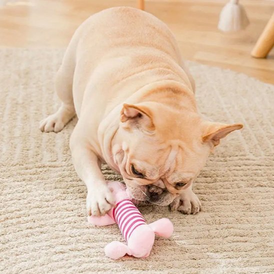 Jouet chien