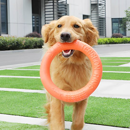 Jouet pour chien