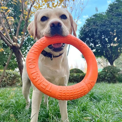 Jouet pour chien