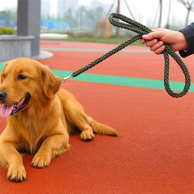 Laisse pour Chien