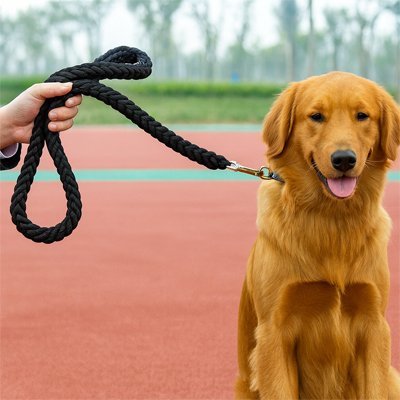 Laisse pour Chien