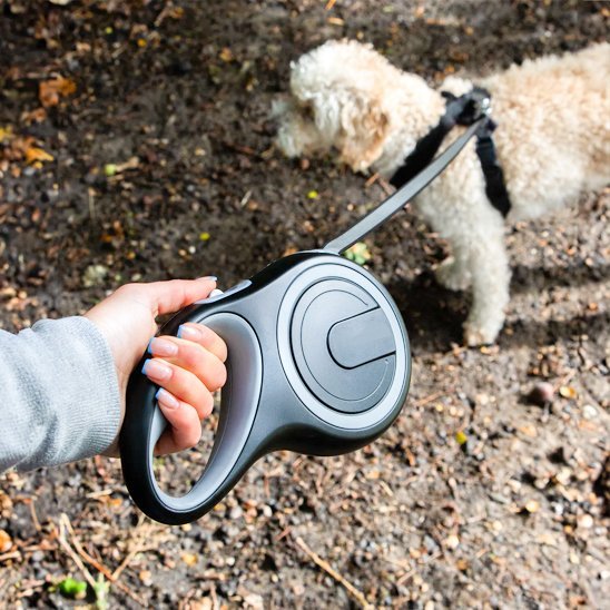 Laisse pour Chien