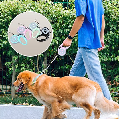 Laisse pour chien