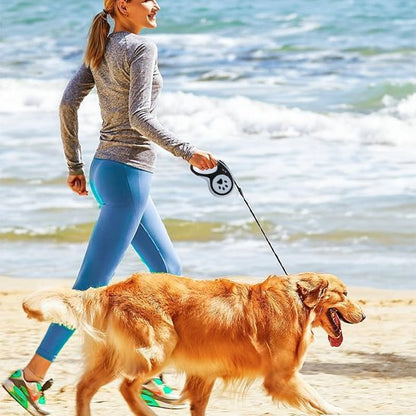 Laisse pour chien