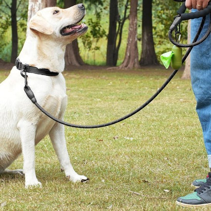 Laisse pour chien